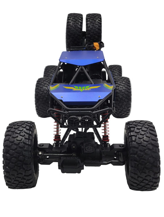 Passion 6 Wheel 1:6 Buggy RC